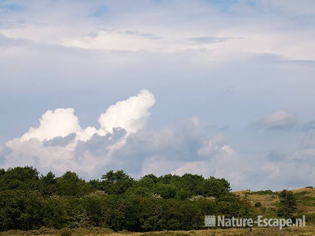 Wolken boven het Doornvlak NHD Bakkum 2 120810