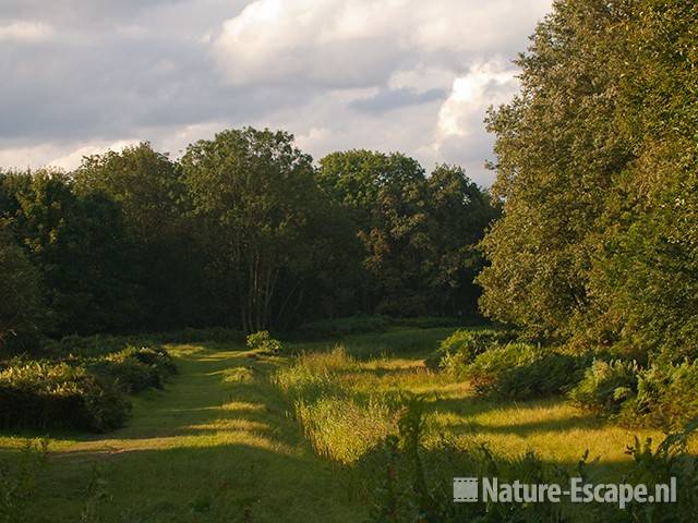 Landschap, in de AWD1 180910