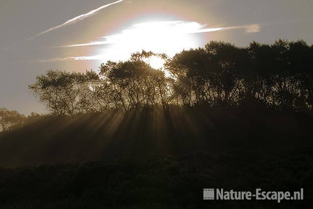 Zonsopkomst, NHD Heemskerk 3 011010