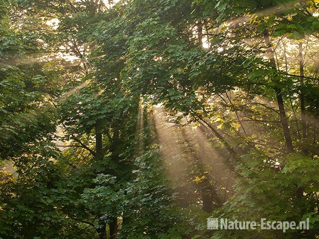 Zonnestralen, zonneharp, AWD1 110511