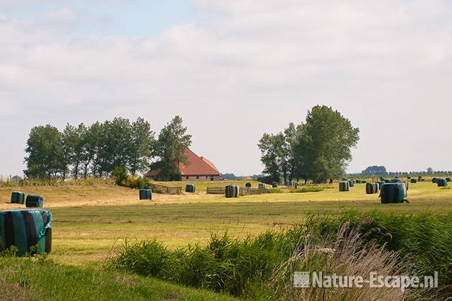 Boerderij, Natuurmonumenten, Schaalsmeerpolder 1 040711