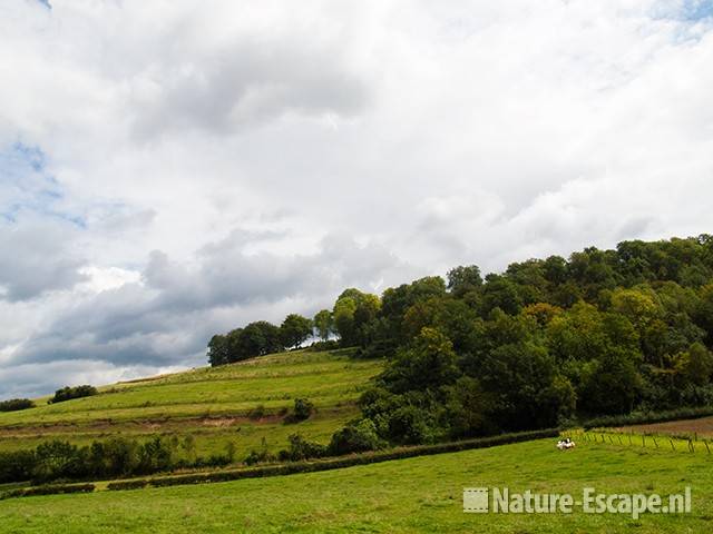 Landschap Gerendal, Zuid-Limburg 3 090811