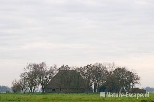 Boerderij, in de Castricummerpolder 2 051111