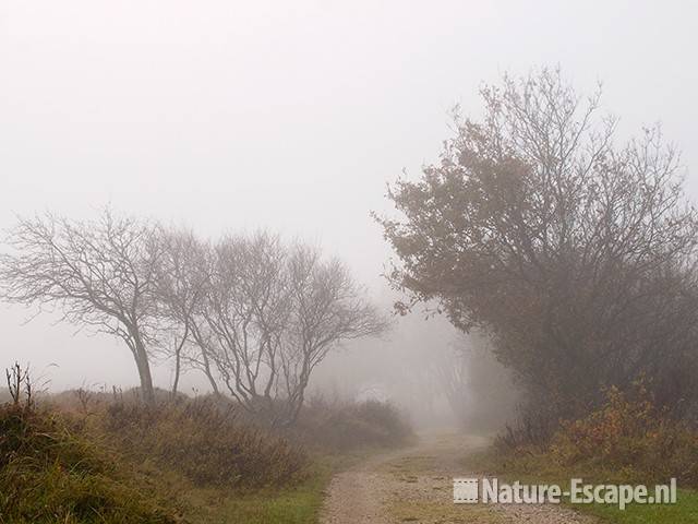 Wandelpad, in mist, Zwanenwater 1 101111