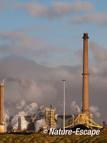 Zicht op Tata-Steel vanf strand Noordpier, Velsen-Noord 1 020112