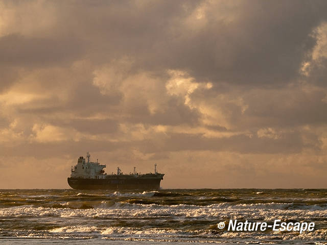 Schip, buiten de pieren, strand Noordpier, Velsen-Noord 1 020112