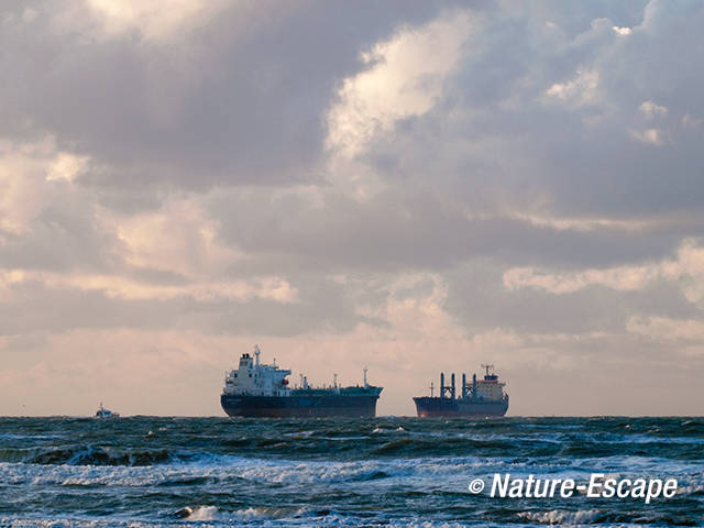 Schepen, op Noordzee, bij Noordpier, Velsen-Noord 1 020112