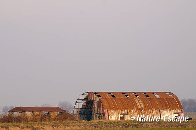 Oude Romneyloods en schuur, Sint Aagtendijk 1 290112