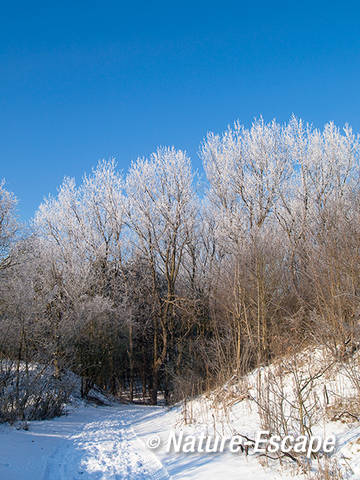 Winters wandelpad, sneeuw en rijp, NHD Heemskerk 1 040212