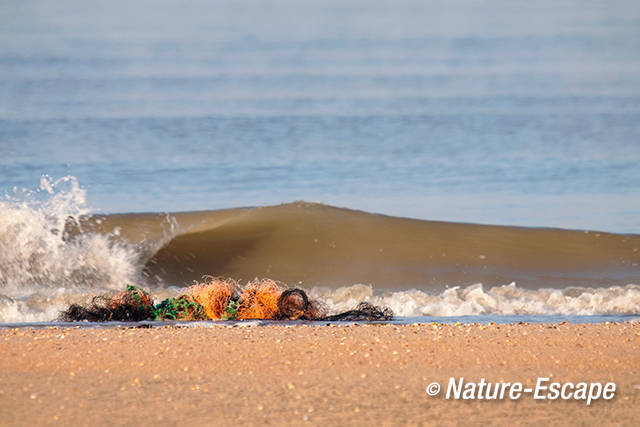 Nylon, nylondraad, aangespoeld op strand van Heemskerk 1 040212