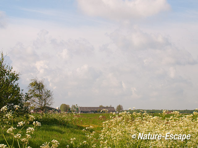 Boerderij, in de Krommenieerwoudpolder 2 170512