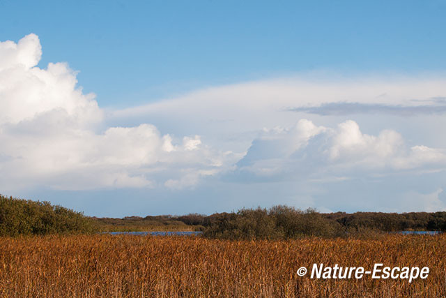 Wolken, boven Zwanenwater 4 271012