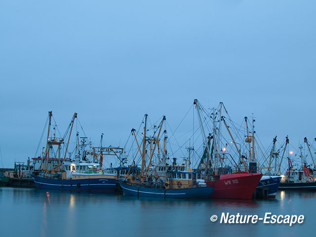 Vissersboten, na zonsondergang,  haven van Lauwersoog 1 050113