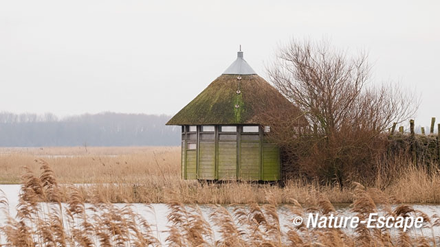 Sylkajut, observatiehut, Lauwersmeer 2 050113