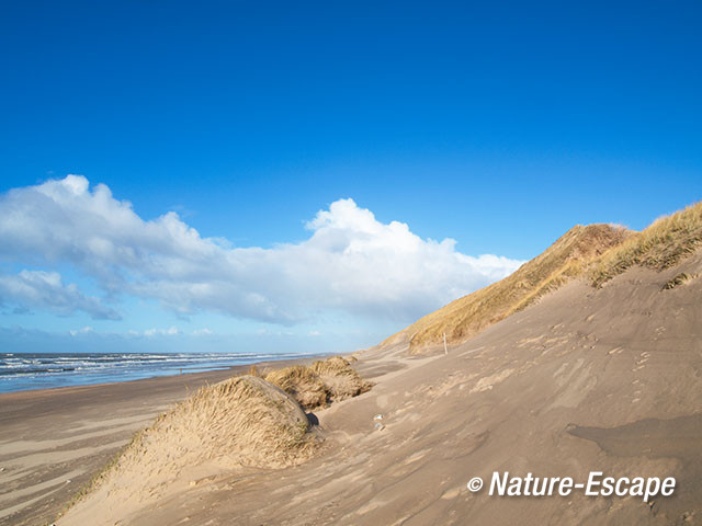 Duinafslag, duinerosie, Strand Heemskerk 4 020213