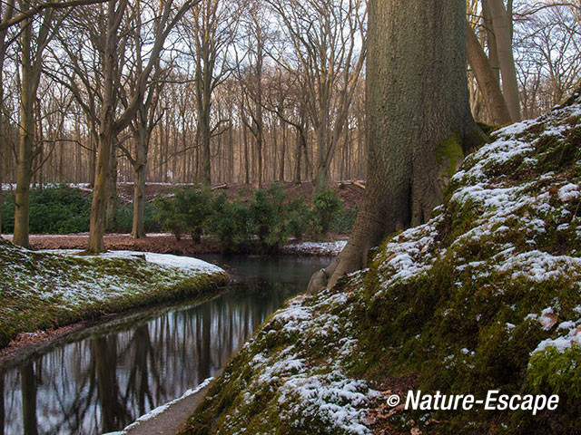 Doorkijkje, op landgoed Elswout 2 110213