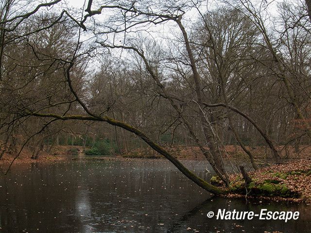 Doorkijkje, buitenplaats Hilverbeek, Natuurmonumenten 3 230213