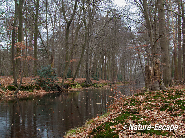 Doorkijkje, buitenplaats Hilverbeek, Natuurmonumenten 1 230213