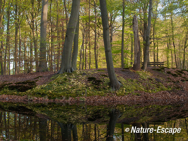 Landschap, buitenplaats, Hilverbeek, Natuurmonumenten 4 010513