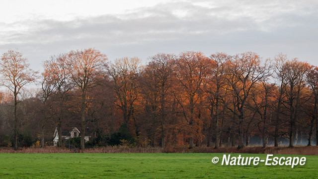 Huisje, tussen bomen, herfst, herfstkleuren, Hilverbeek, Natuurmonumenten 2