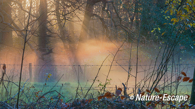 Licht, lichtspel, irisering, Hilverbeek Natuurmonumenten 2 301113