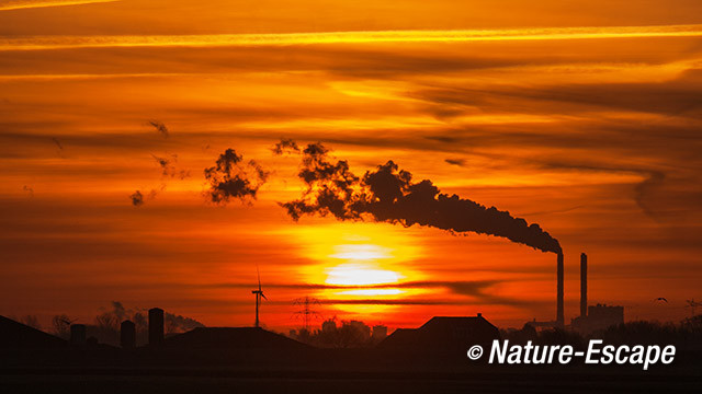 Vuilverbranding Zaanstad, opkomende zon, zonsopkomst, vanuit Wijkermeerpolder 2 120114