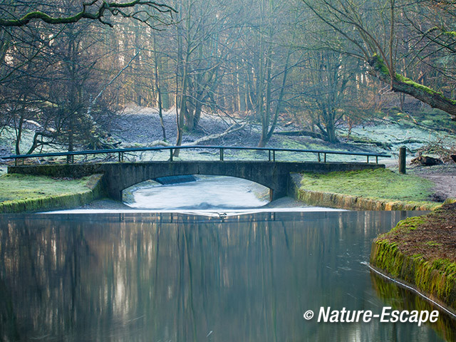 Brug, bruggetje, in duinlandschap, AWD1 030214