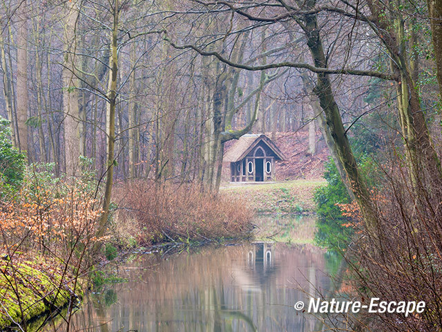 Doorkijkje, landgoed Elswout 1 280214