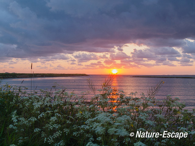 Zonsopkomst, opkomende zon, Markermeer, Goudriaanroute 9 030514