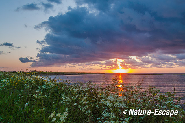 Zonsopkomst, opkomende zon, Markermeer, Goudriaanroute 2 030514