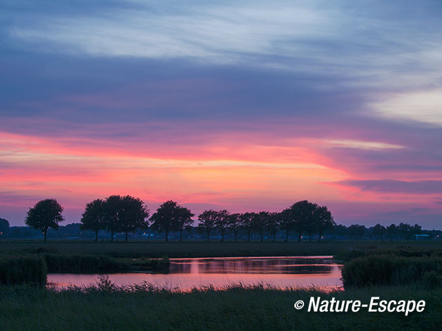 Zonsondergang, ondergaande zon, bij waterberging, Wogmeer 4 240714