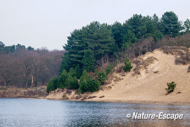 Oosterplas, landschap bij de Oosterplas, NPZK1 060115