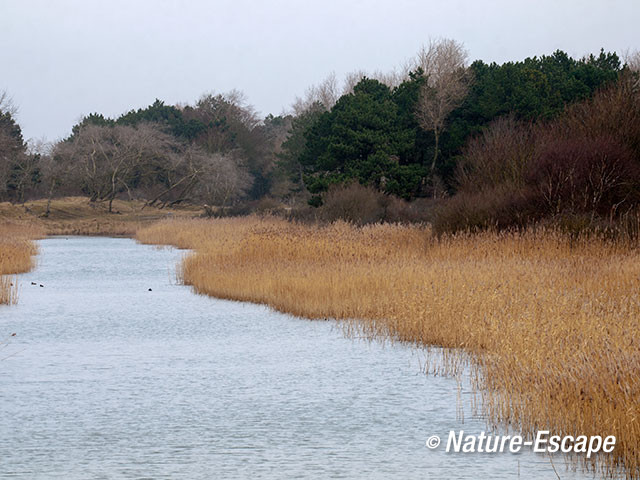 Duinlandschap, met infiltratiekanaal, winter, AWD3 250115