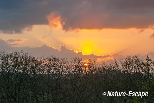 Zonsopkomst, opkomende zon, boven duinen, NHD Bergen 1 281115