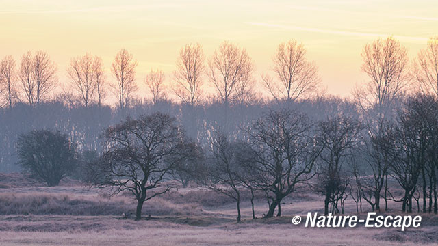 Landschap, bij zonsopkomst, AWD1 210117