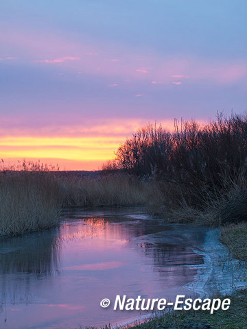 Zonsopkomst, infiltratiegebied, NHD Castricum1 280117