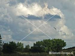 Wolken boven Vogelmeer NPZK5