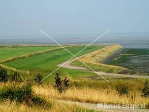 Landschap polder Vatrop bij Oosterland