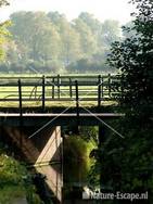 Bruggetje landgoed Elswout 1