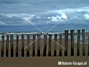 Palen op strand bij Kerf Schoorl 8