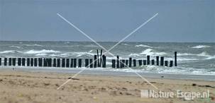 Strand bij Kerf Schoorl 2a