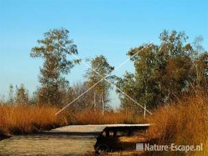 Knuppelbrug Groote Peel 5