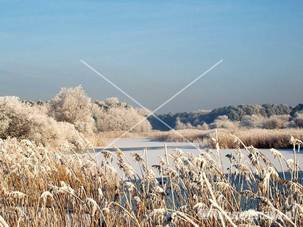 Winter in de Amsterdamse Waterleiding Duinen 11