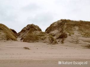 Duinafslag op stand bij Bergen aan Zee 1