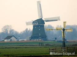 Molen De Woudaap en watermolentje Zwaansmeerpad  1