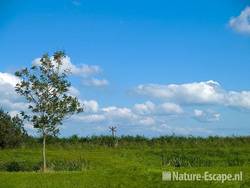 Landschap langs het Zwaansmeerpad 1