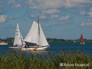 Watersport, recreatie op het Alkmaarder- en Uitgeestermeer 1