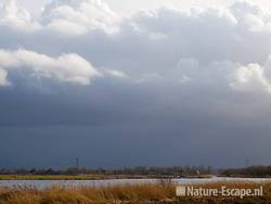 Dreigende wolken boven Krommenieër Woudpolder Zwmp1 080209