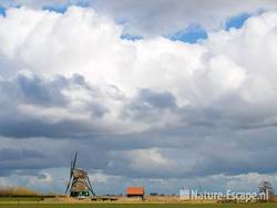 Dorregeester molen, Uitgeest  1 290309