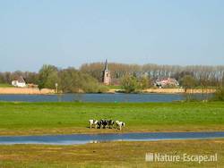 Langs de Lek, Zouweboezem 1 100409